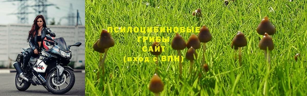 эйфоретик Абдулино